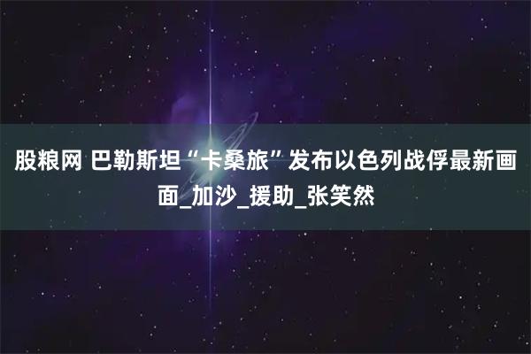 股粮网 巴勒斯坦“卡桑旅”发布以色列战俘最新画面_加沙_援助_张笑然