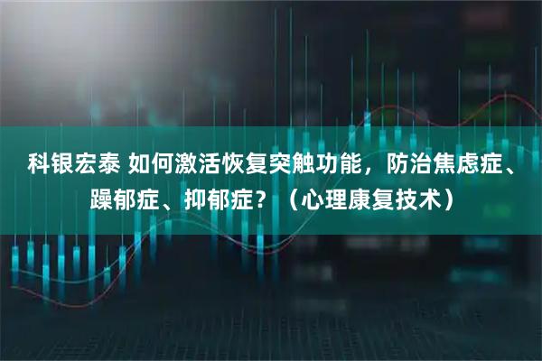 科银宏泰 如何激活恢复突触功能，防治焦虑症、躁郁症、抑郁症？（心理康复技术）